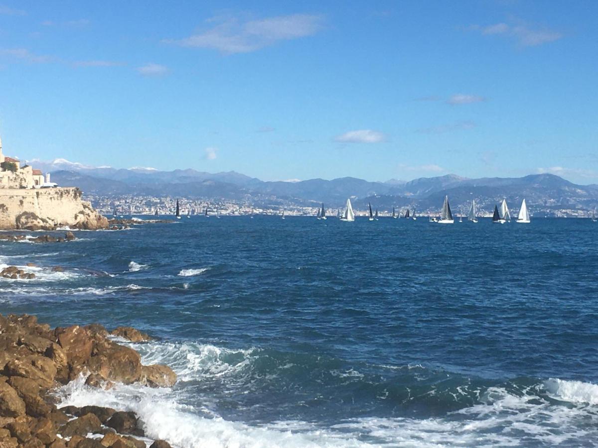 Tortue De Mer Antibes Ngoại thất bức ảnh