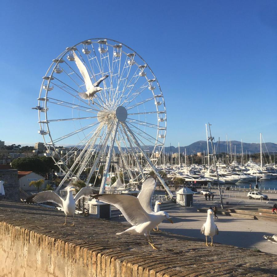 Tortue De Mer Antibes Ngoại thất bức ảnh